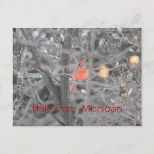 Hello from Michigan Postcard