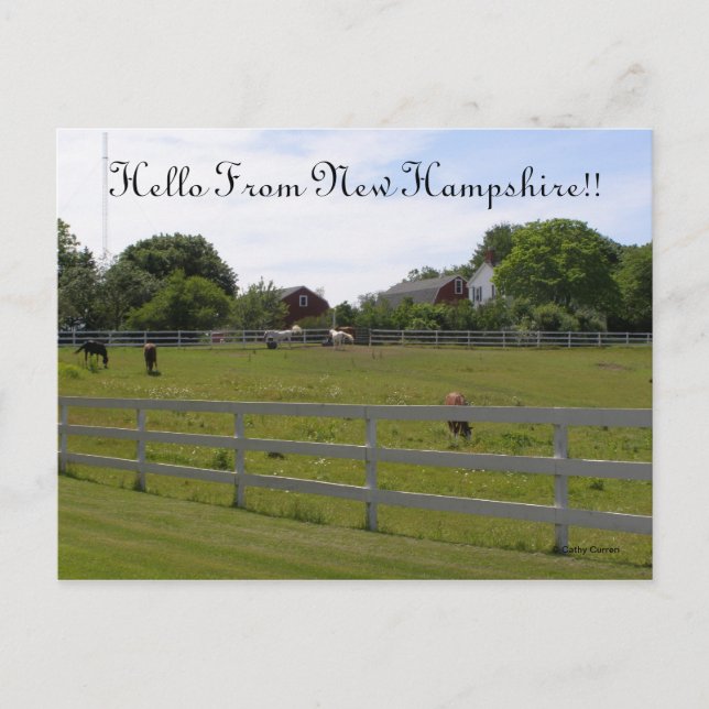 Hello From New Hampshire Postcard (Front)