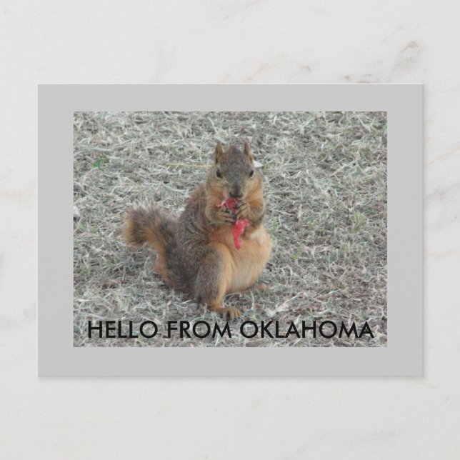 HELLO FROM OKLAHOMA POSTCARD (Front)