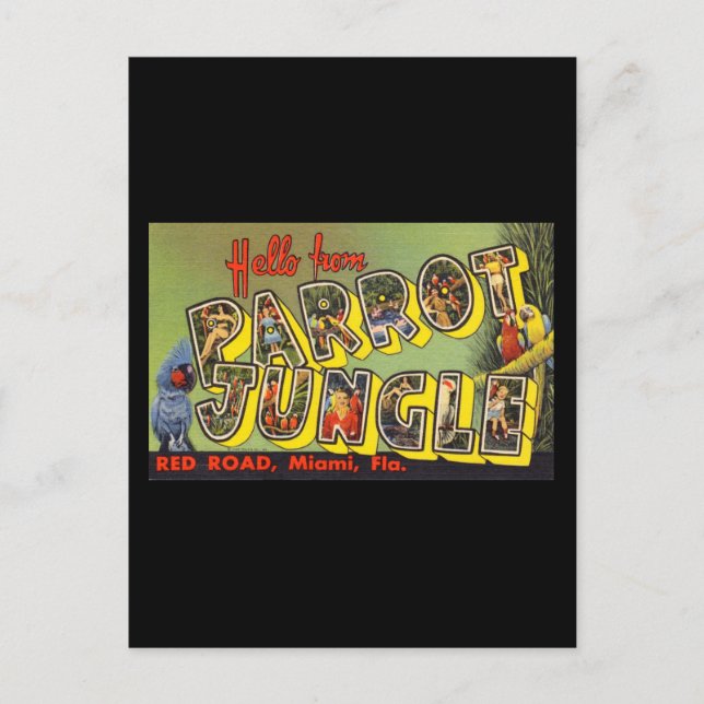 Hello from Parrot Jungle Postcard (Front)