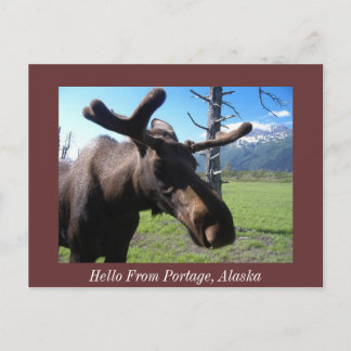 Hello From Portage, Alaska, Hello From Portage,... Postcard