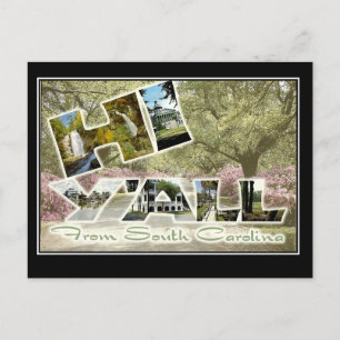 Hello From South Carolina Vintage Travel Postcard
