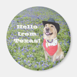 Hello from Texas! Magnet