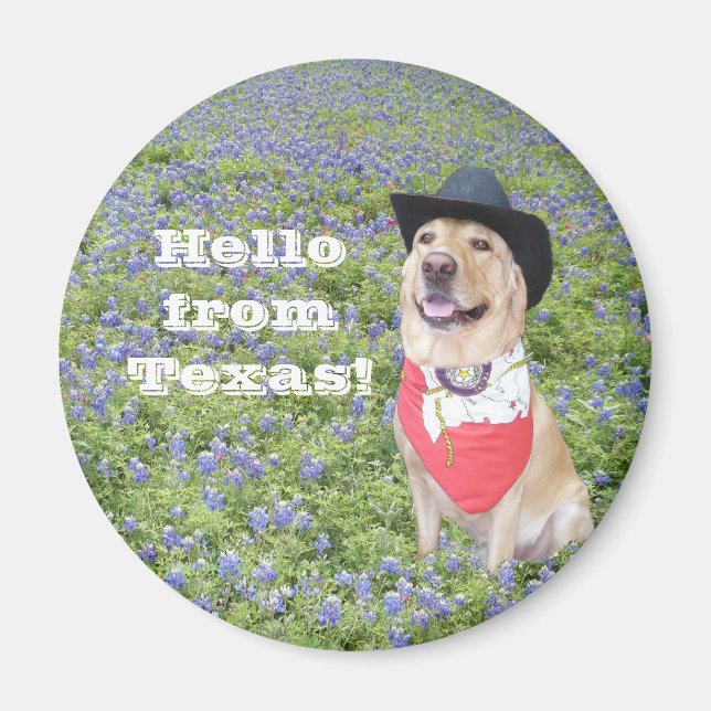 Hello from Texas! Magnet (Front)