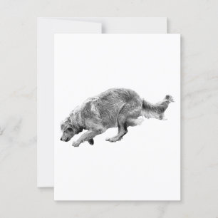 Hello from the Low Runner Postcard