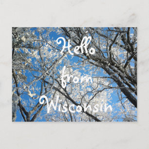 Hello from Wisconsin Pretty Snowy Scenic Photo Postcard
