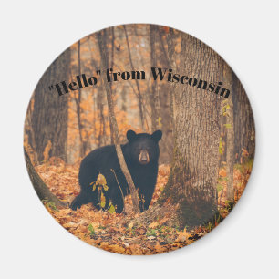 Hello From Wisconsin with Black Bear Magnet