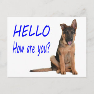 Hello German Shepherd Puppy Dog Blank Post Card