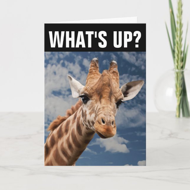 HELLO GIRAFFE GREETING CARD, WHAT'S UP? CARD (Front)