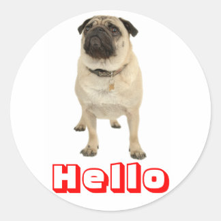 hello pug pug puppy stickers zazzle co uk hello pug pug puppy stickers zazzle co uk
