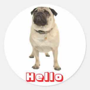 Hello Greeting Pug Puppy Dog Stickers