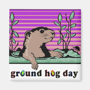 Hello, Groundhog's Shadow - Magnet