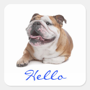 Hello Happy Bulldog Puppy Dog Greeting Sticker