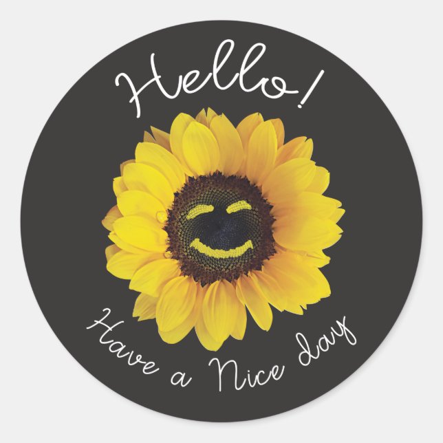 Hello ! Have a nice day  Classic Round Sticker (Front)
