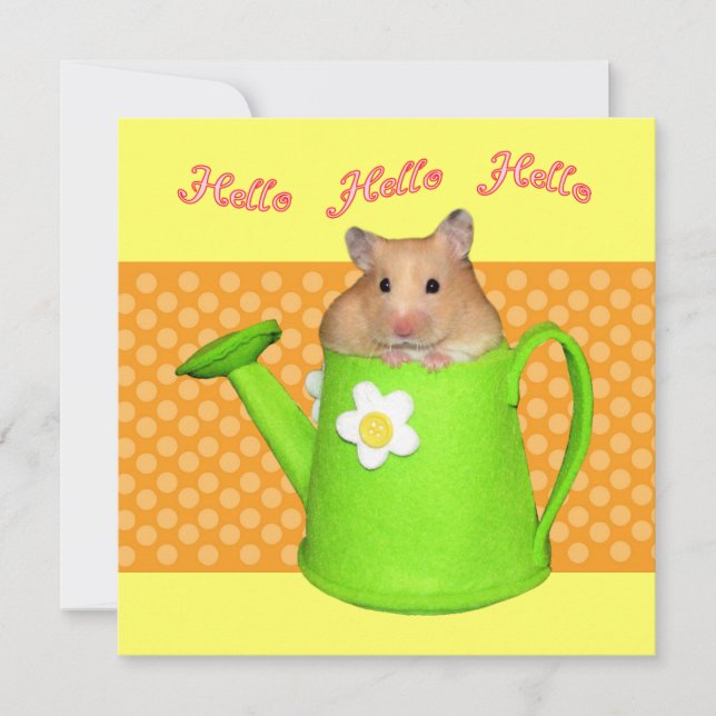 Hello hello hamster invitation (Front)