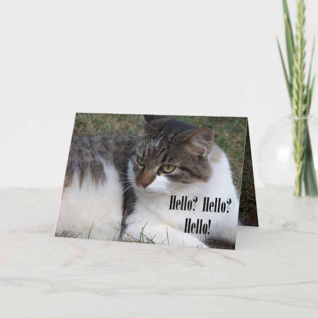 Hello? Hello? Hello! (Cat) Cards (Front)