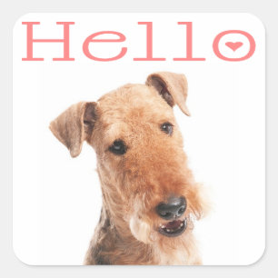 Hello / Hi Airedale Puppy Dog Sticker / Label
