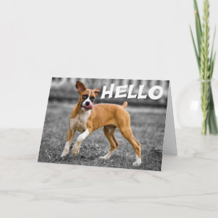 Hello / Hi Boxer Puppy Dog - Friendship, Miss You Card