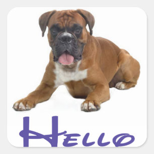 Hello / Hi Boxer Puppy Dog Greeting Sticker