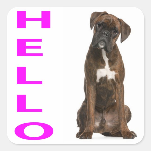 Hello / Hi  Boxer Puppy Dog PurpleGreeting Sticker (Front)