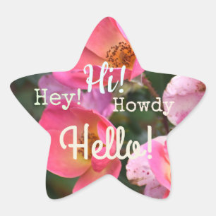 Hello! Howdy! Hi! Flower Star Sticker
