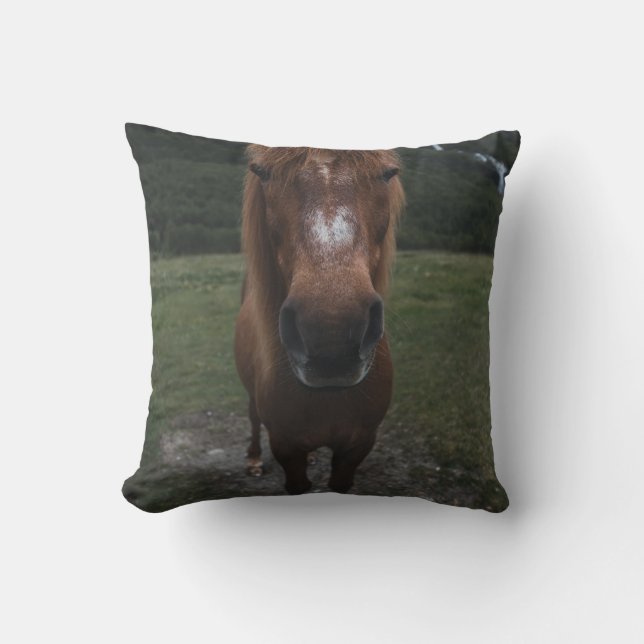HELLO I AM A HORSE CUSHION (Front)