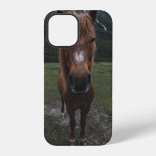 HELLO I AM A HORSE iPhone 12 CASE