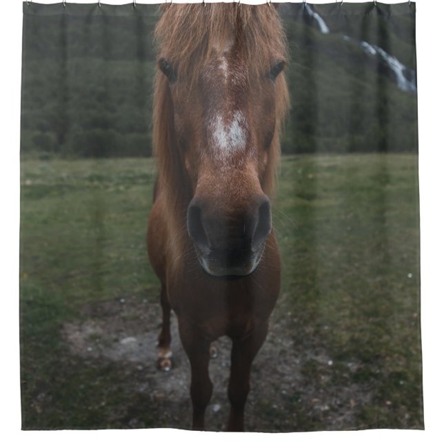 HELLO I AM A HORSE SHOWER CURTAIN (Front)