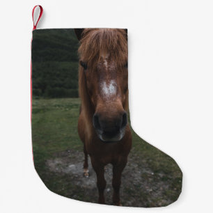 HELLO I AM A HORSE SMALL CHRISTMAS STOCKING