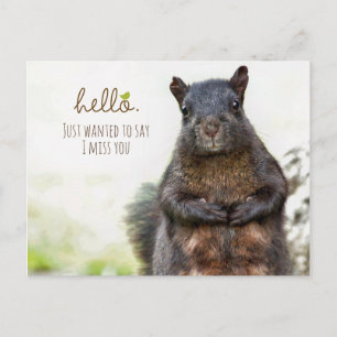 Hello I Miss You Postcard
