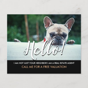 hello I'm not your neighbour real estate agent Fly Flyer