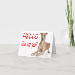 Hello Italian Greyhound Puppy Dog Blank Note Card