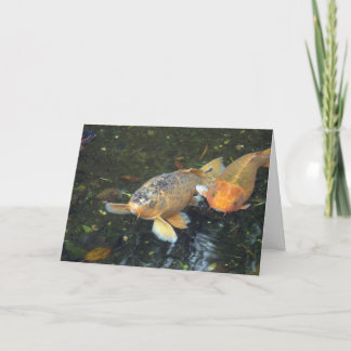 Hello Koi Birthday Card