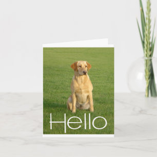 Hello Labrador Retriever Puppy Dogs Note Card