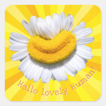 "Hello lovely Human!" Chamomile Smile Sunburst