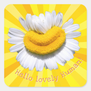 "Hello lovely Human!" Chamomile Smile Sunburst Square Sticker