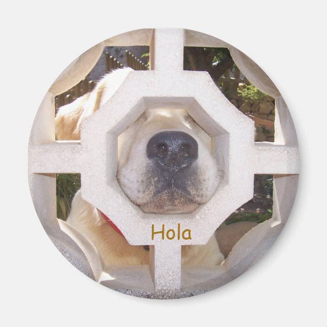 Hello Magnet (Front)