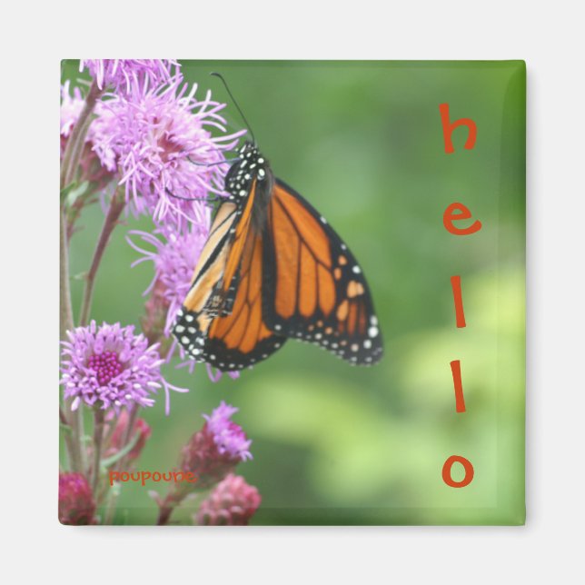 hello magnet (Front)