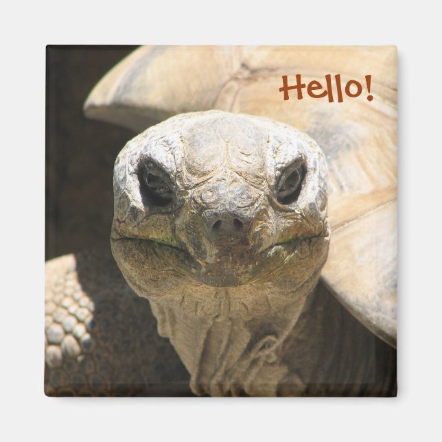 Hello! Magnet (Front)