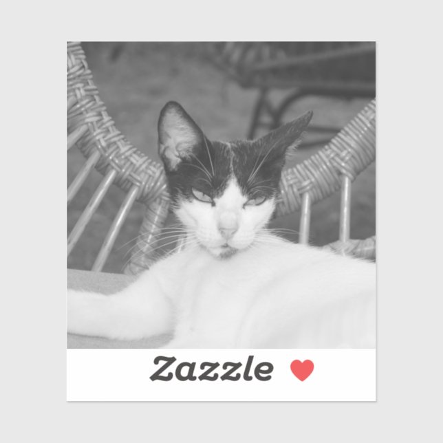 Hello, Meow... (Sheet)