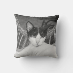 Hello, Meow... Cushion
