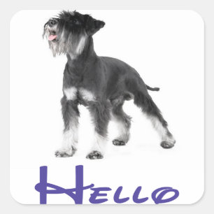 Hello Miniature Schnauzer Puppy Dog Sticker