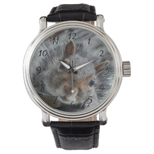 Hello Miss squirrel Watch