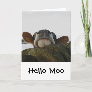 Hello Moo Card