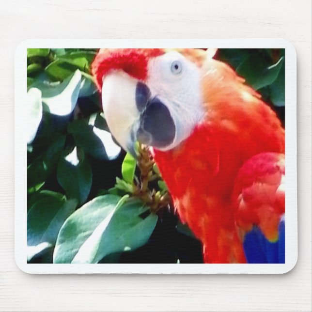 Hello_ Mouse Mat (Front)