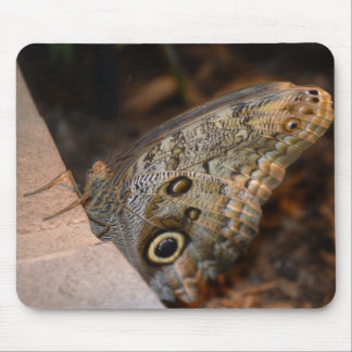 Hello! Mouse Mat