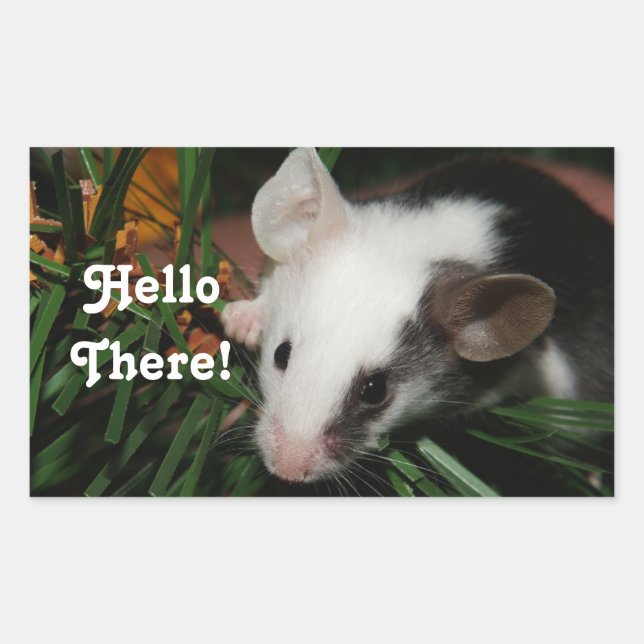 Hello Mouse Rectangular Sticker (Front)