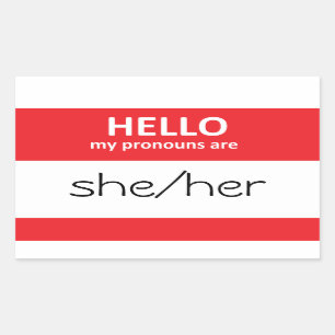 HELLO my pronouns are she/her Sticker
