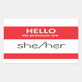 HELLO my pronouns are she/her Sticker
