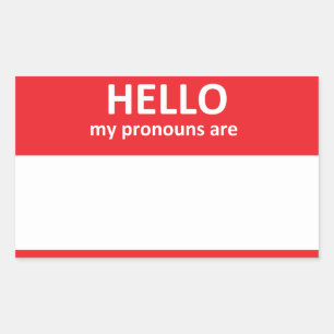 HELLO my pronouns are Sticker